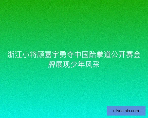浙江小将顾嘉宇勇夺中国跆拳道公开赛金牌展现少年风采